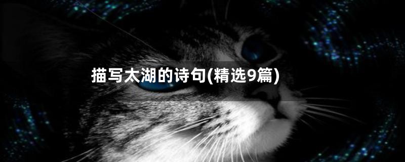 描写太湖的诗句(精选9篇)