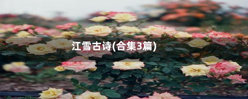 江雪古诗(合集3篇)