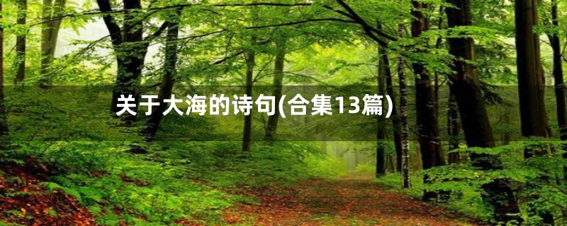 关于大海的诗句(合集13篇)