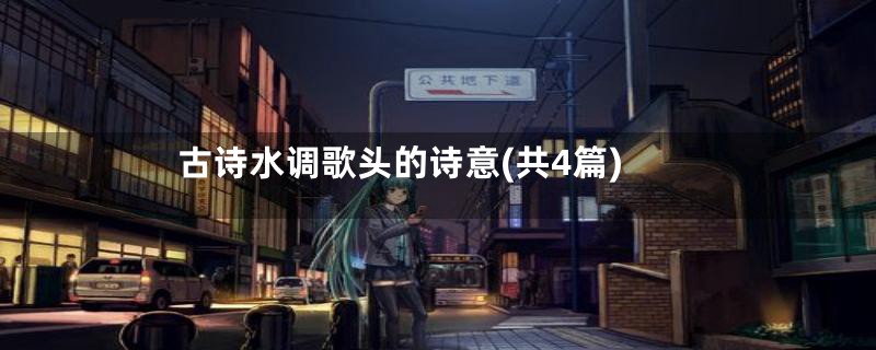 古诗水调歌头的诗意(共4篇)