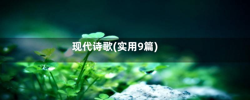 现代诗歌(实用9篇)