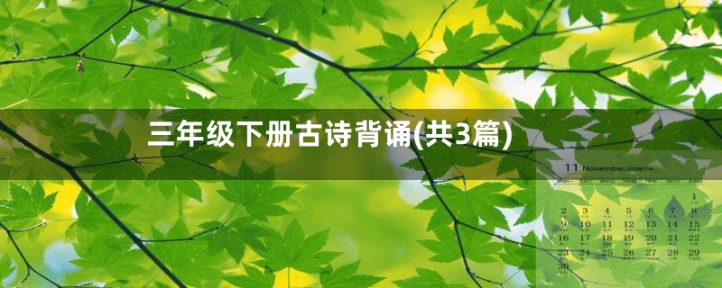 三年级下册古诗背诵(共3篇)