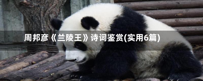 周邦彦《兰陵王》诗词鉴赏(实用6篇)