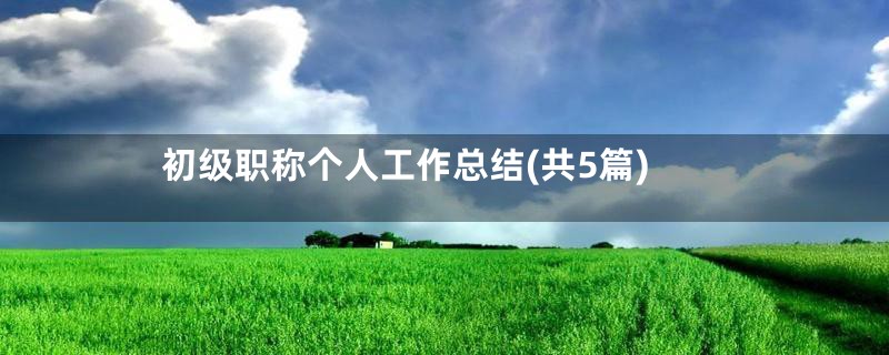 初级职称个人工作总结(共5篇)