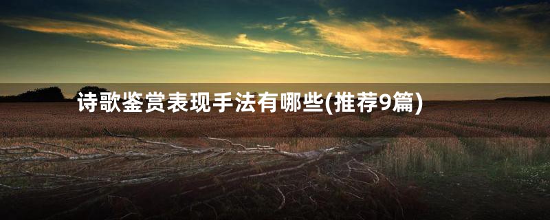 诗歌鉴赏表现手法有哪些(推荐9篇)