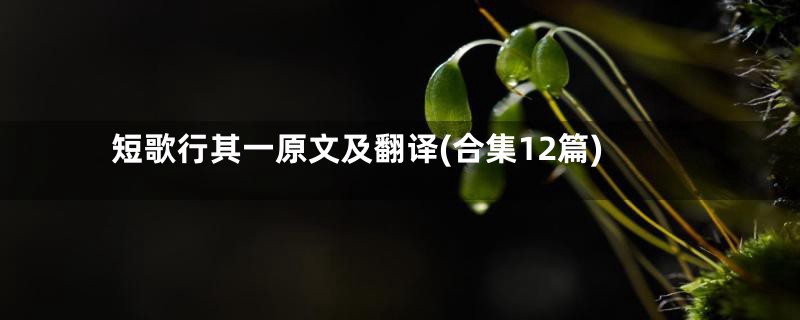 短歌行其一原文及翻译(合集12篇)