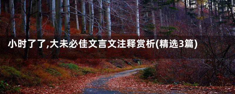 小时了了,大未必佳文言文注释赏析(精选3篇)