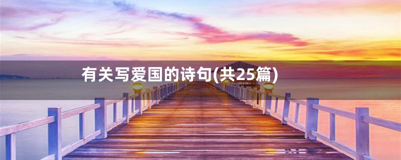 有关写爱国的诗句(共25篇)