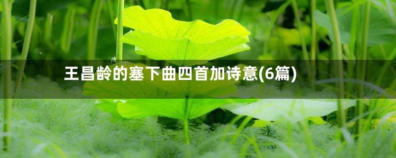 王昌龄的塞下曲四首加诗意(6篇)