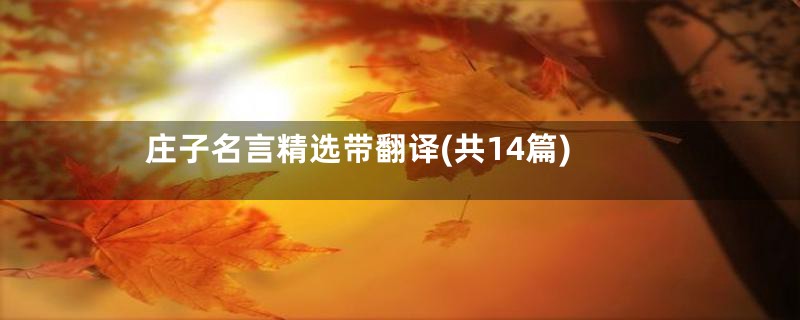 庄子名言精选带翻译(共14篇)