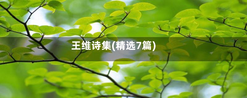 王维诗集(精选7篇)