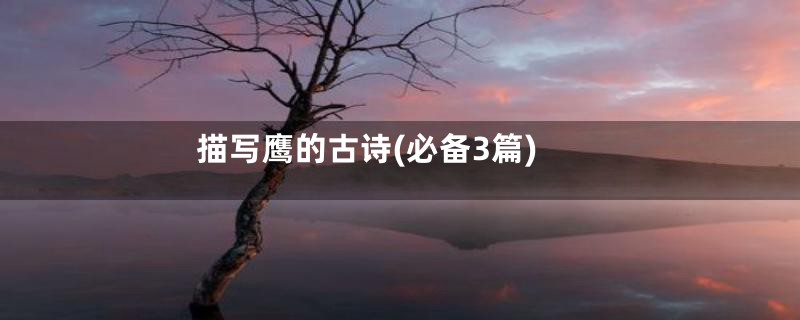 描写鹰的古诗(必备3篇)