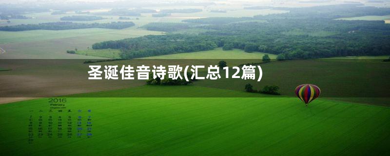圣诞佳音诗歌(汇总12篇)