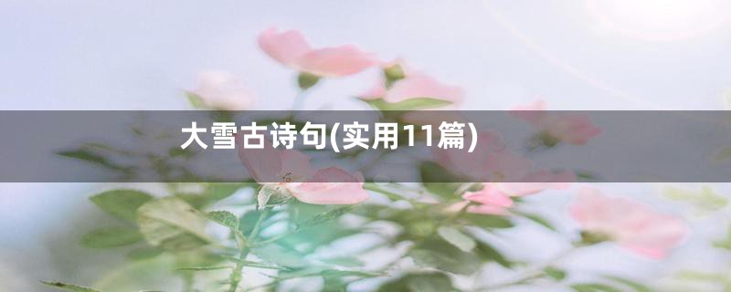 大雪古诗句(实用11篇)