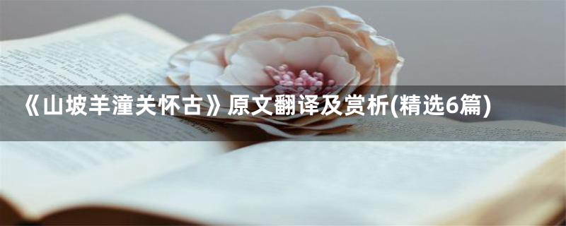《山坡羊潼关怀古》原文翻译及赏析(精选6篇)