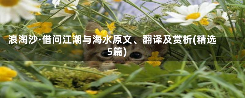 浪淘沙·借问江潮与海水原文、翻译及赏析(精选5篇)