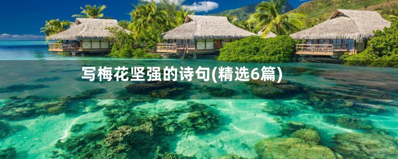 写梅花坚强的诗句(精选6篇)