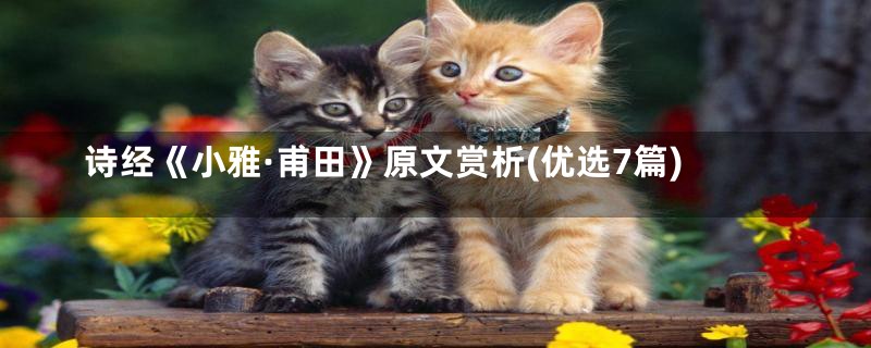 诗经《小雅·甫田》原文赏析(优选7篇)