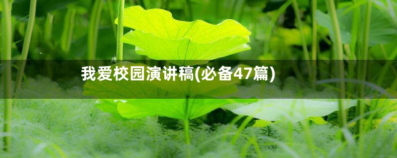 我爱校园演讲稿(必备47篇)