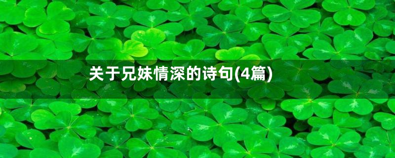 关于兄妹情深的诗句(4篇)
