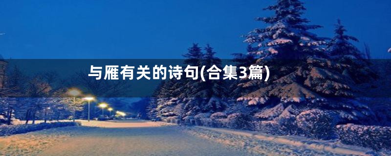 与雁有关的诗句(合集3篇)