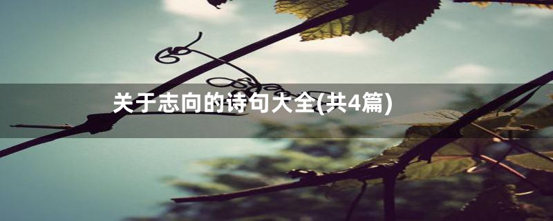 关于志向的诗句大全(共4篇)