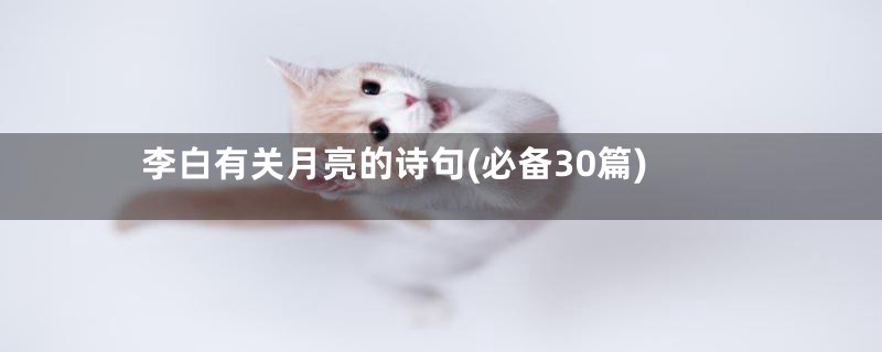 李白有关月亮的诗句(必备30篇)