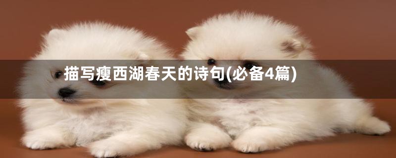 描写瘦西湖春天的诗句(必备4篇)