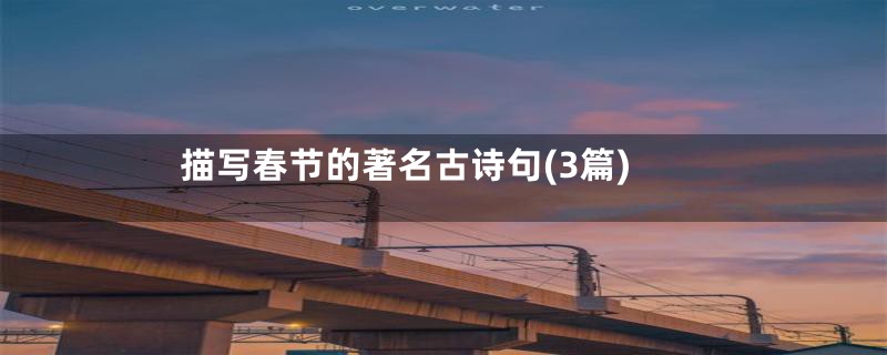 描写春节的著名古诗句(3篇)
