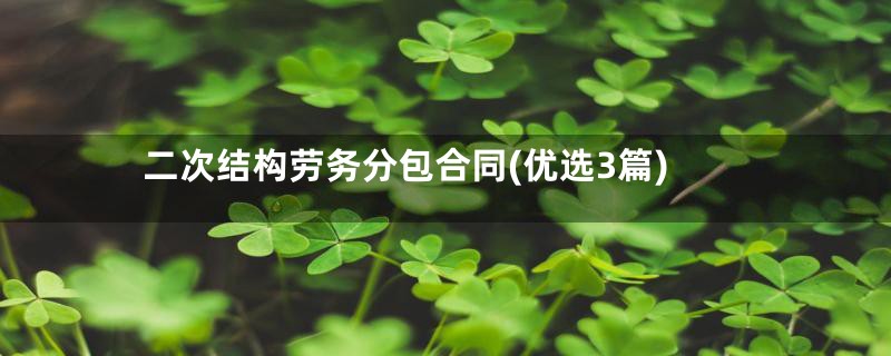 二次结构劳务分包合同(优选3篇)