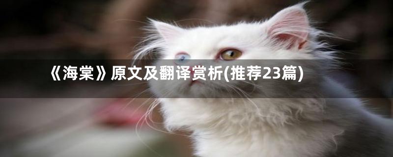《海棠》原文及翻译赏析(推荐23篇)