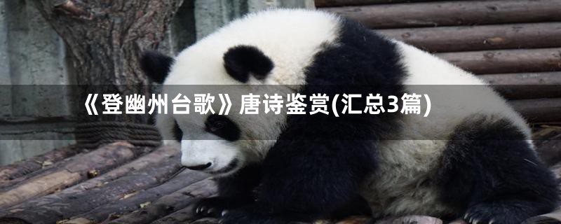 《登幽州台歌》唐诗鉴赏(汇总3篇)