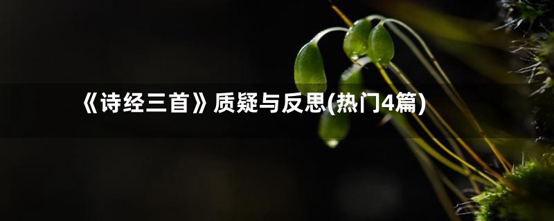 《诗经三首》质疑与反思(热门4篇)