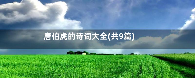 唐伯虎的诗词大全(共9篇)