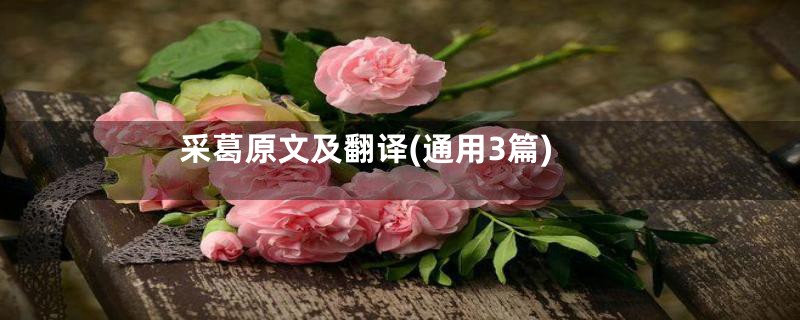 采葛原文及翻译(通用3篇)
