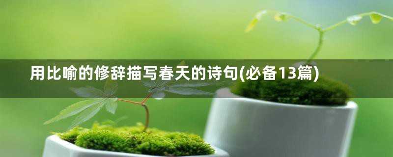 用比喻的修辞描写春天的诗句(必备13篇)