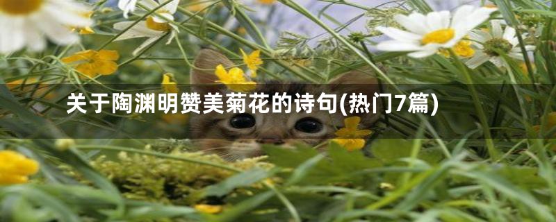 关于陶渊明赞美菊花的诗句(热门7篇)