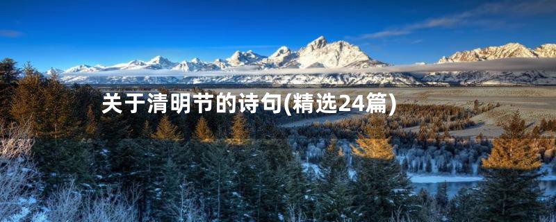 关于清明节的诗句(精选24篇)