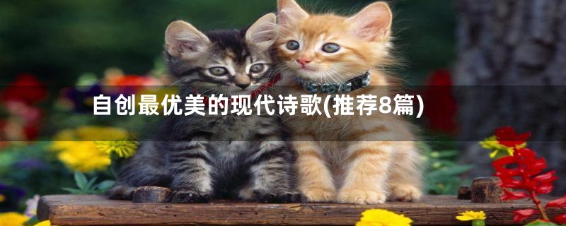 自创最优美的现代诗歌(推荐8篇)