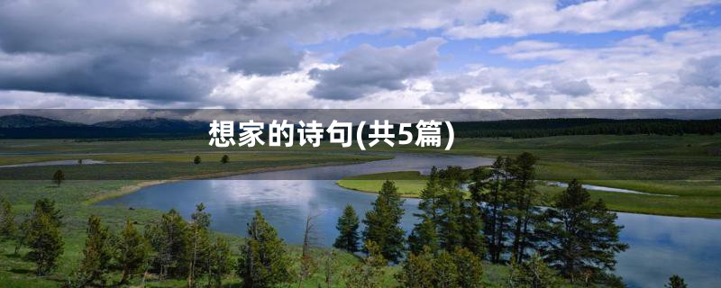 想家的诗句(共5篇)
