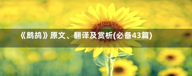 《鹧鸪》原文、翻译及赏析(必备43篇)