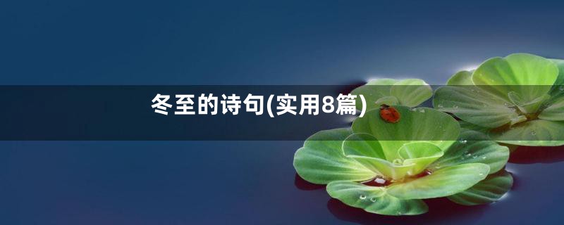 冬至的诗句(实用8篇)