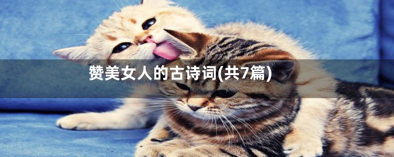 赞美女人的古诗词(共7篇)