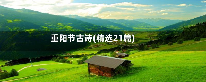重阳节古诗(精选21篇)