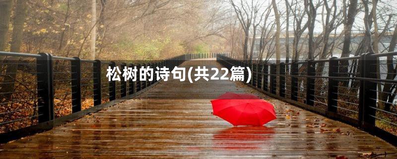 松树的诗句(共22篇)