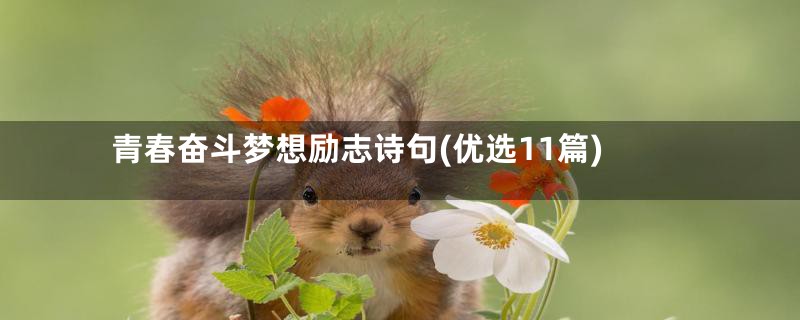 青春奋斗梦想励志诗句(优选11篇)