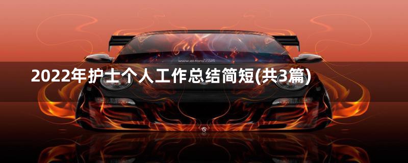 2022年护士个人工作总结简短(共3篇)