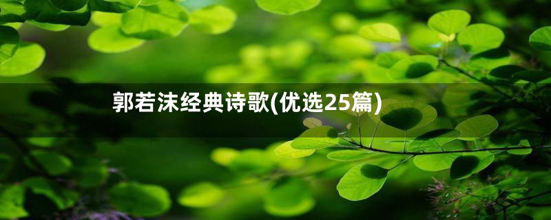 郭若沫经典诗歌(优选25篇)