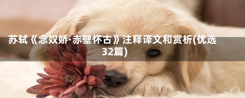 苏轼《念奴娇·赤壁怀古》注释译文和赏析(优选32篇)