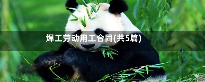 焊工劳动用工合同(共5篇)